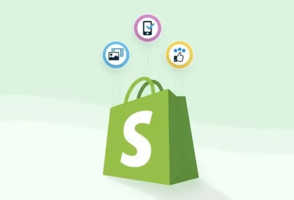 Third-Party Plugin Development (WordPress, Shopify)